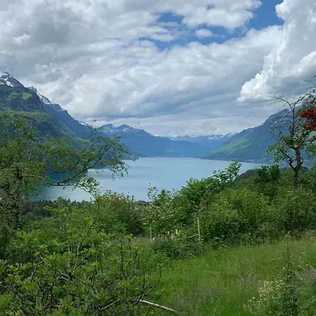 Unique Panorama - And Alps *