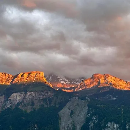 Unique Panorama - And Alps *