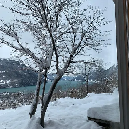 Apartamento Unique Panorama - And Alps Brienz (Bern)